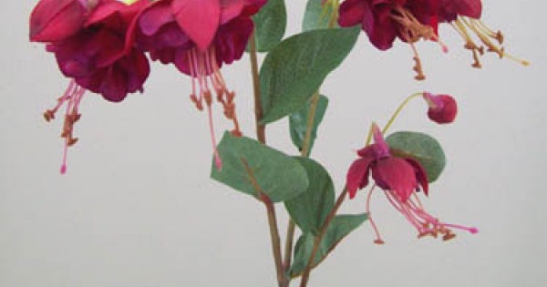 Fuschia 2025 silk flowers